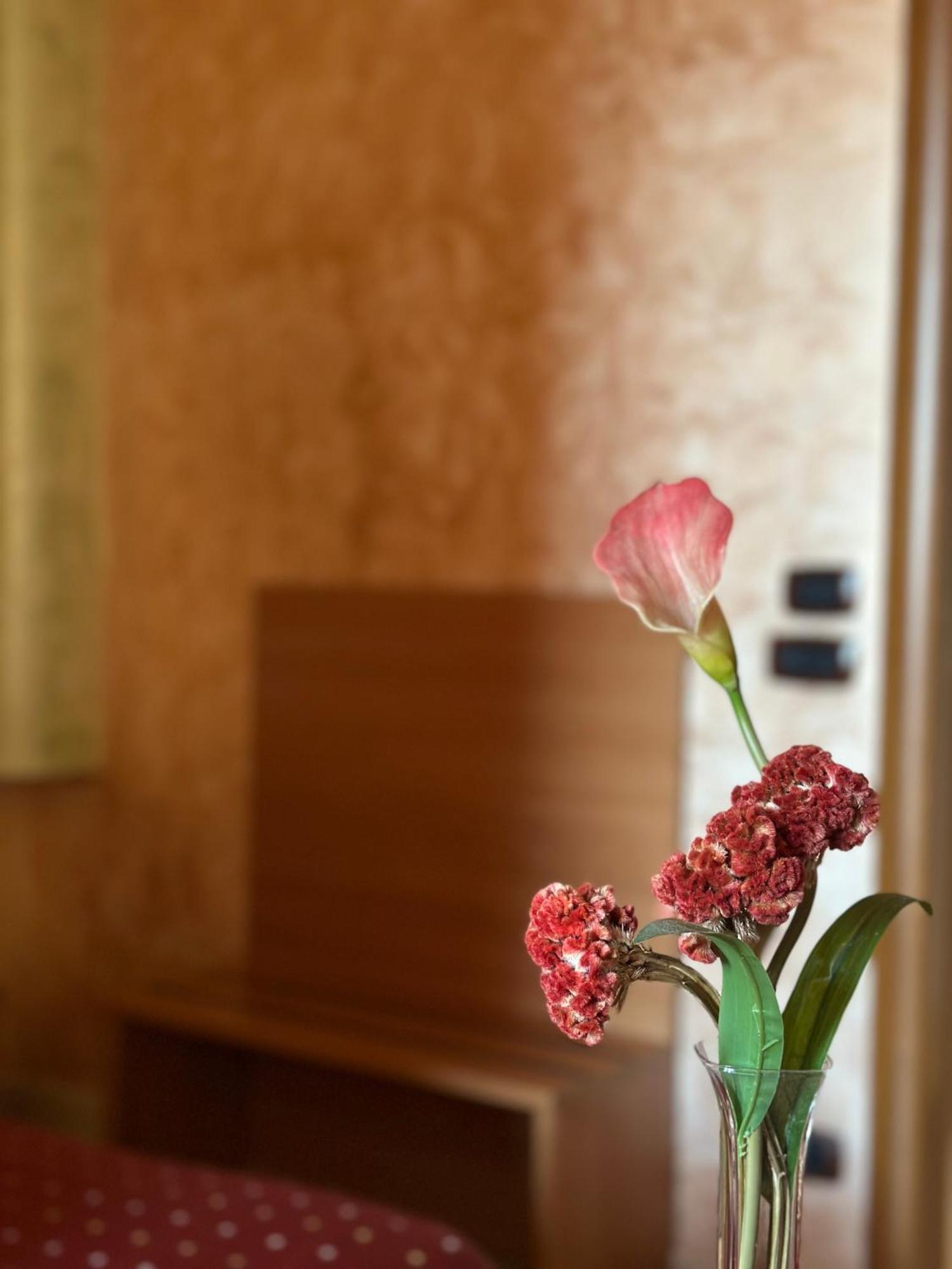 Hotel Il Giardino Degli Aranci Nola Εξωτερικό φωτογραφία